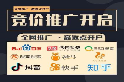 某电商平台的SEM推广实践与效果展示